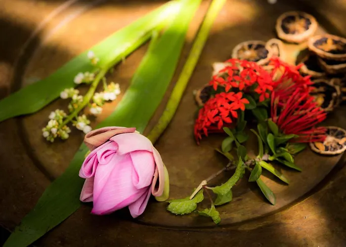 Hotel Sokkhak Boutique & Siem Reap